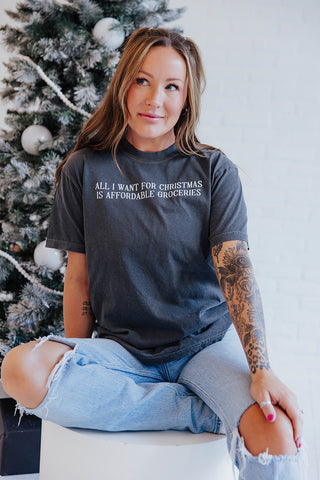 ALL I WANT FOR CHRISTMAS IS AFFORDABLE GROCERIES ADULT LONG SLEEVE TEE