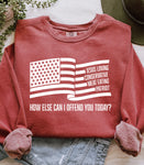 JESUS LOVING • CONSERVATIVE • MEAT EATING • PATRIOT - Washed Crewneck