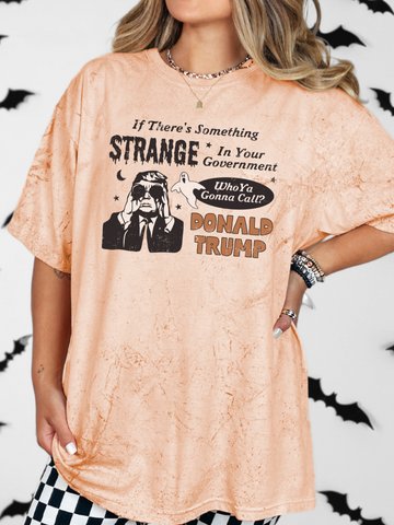 IF THERES SOMETHING STRANGE IN YOUR GOV, WHO YOU GONNA CALL? DONALD TRUMP! - ADULT TEE