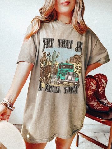 TRY THAT IN A SMALL TOWN, DISTRESSED TRUCK • ADULT TEE