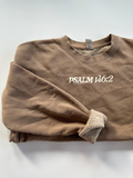 PSALM 146:2 I WILL PRAISE HIM IN EVERY SEASON - ADULT WASHED SWEATER