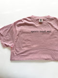 SPIRIT LEAD ME - ADULT TEE