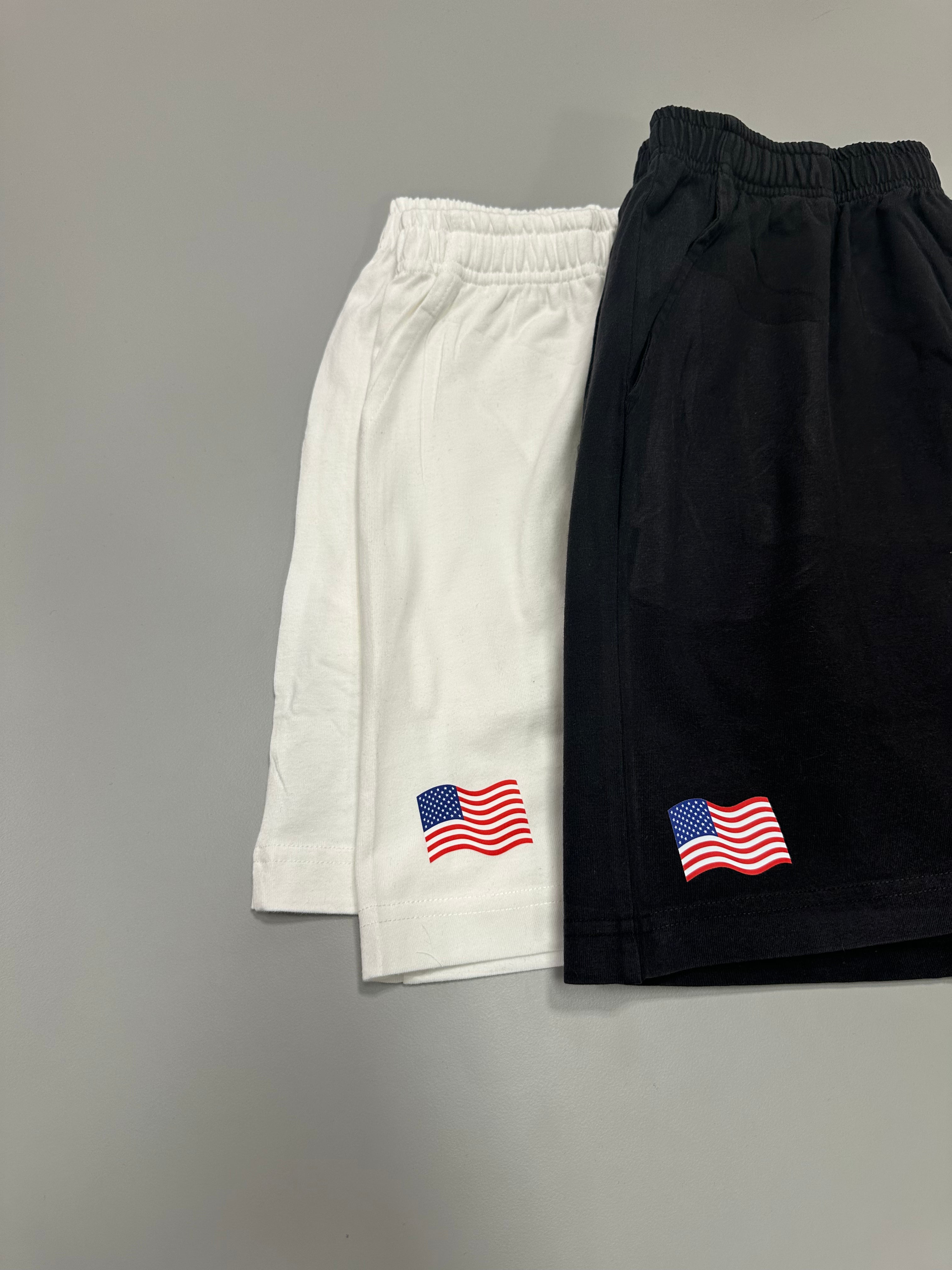 American Flag Cotton Mineral Wash Shorts