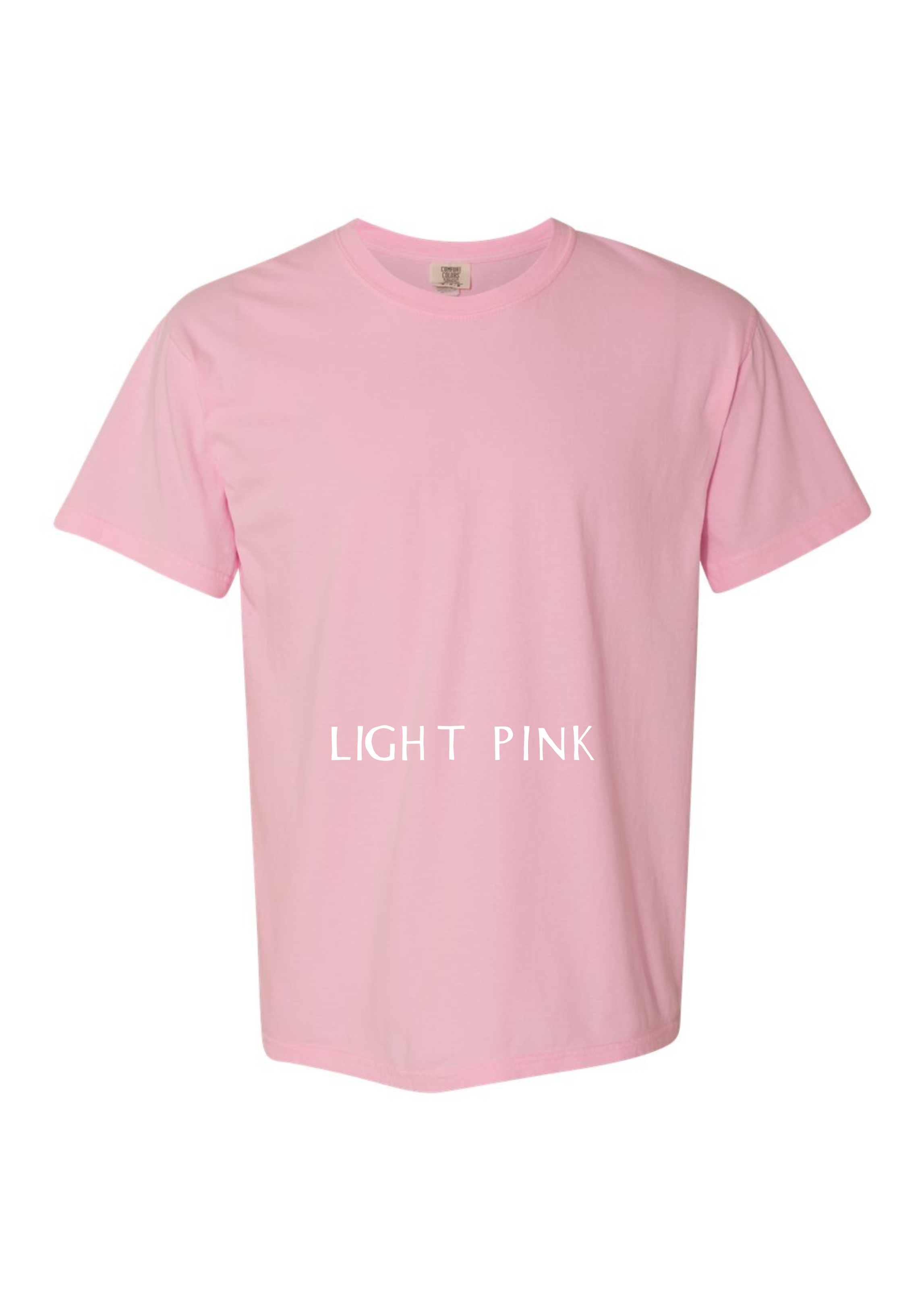 GET IN LOSERS WERE TAKING AMERICA BACK - ADULT TEE