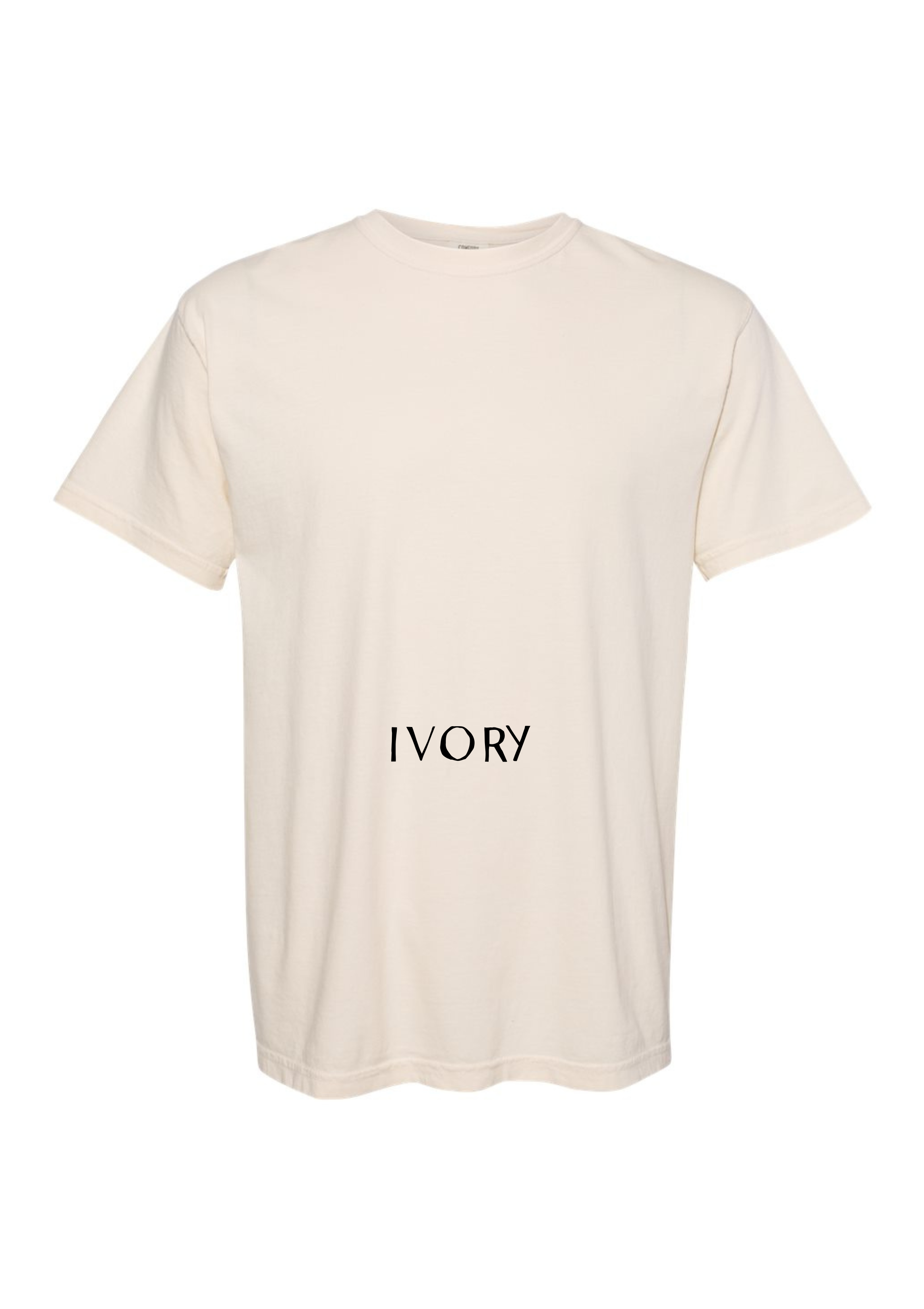 FRIENDS CHRISTMAS - ADULT TEE