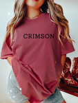 ITS ABOUT TO GET BIBLICAL - ADULT TEE