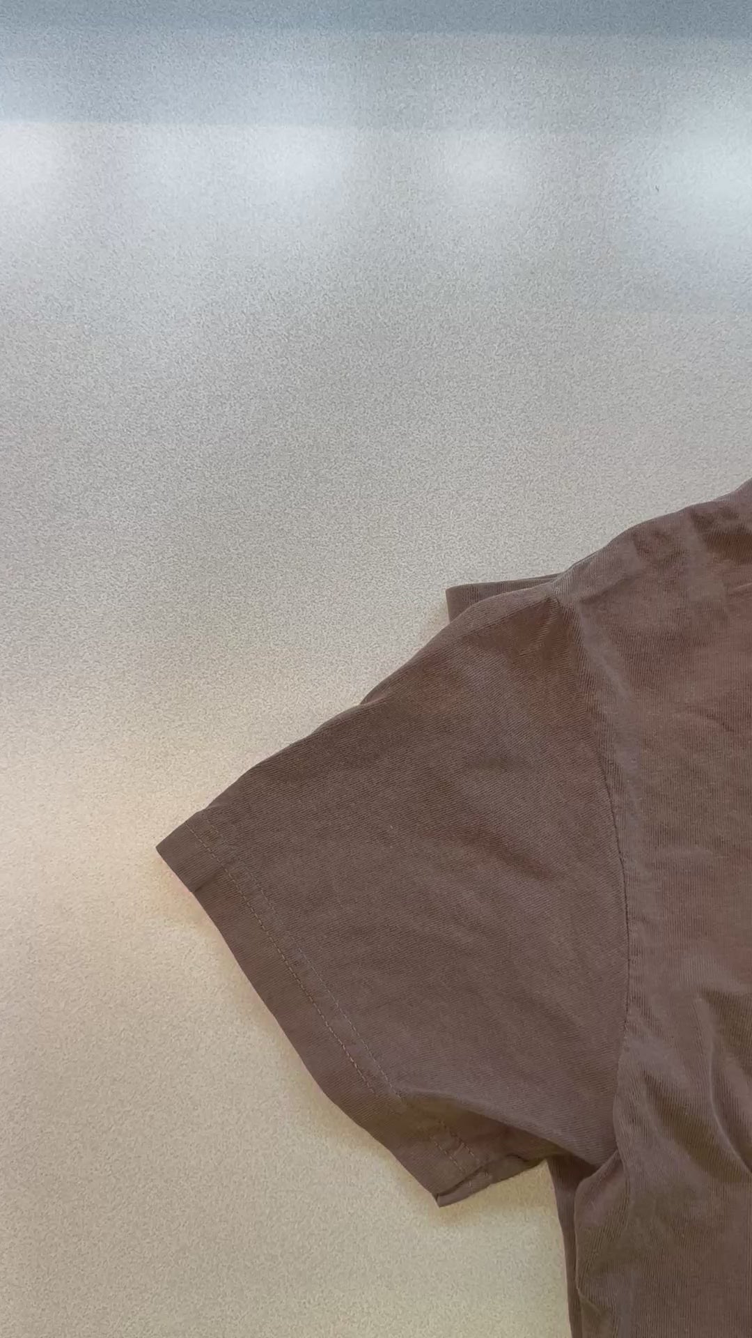 Load video: ONE HUNDRED PERCENT CONSERVATIVE - ADULT EMBROIDERED TEE